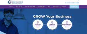 screen shot of blue corona website