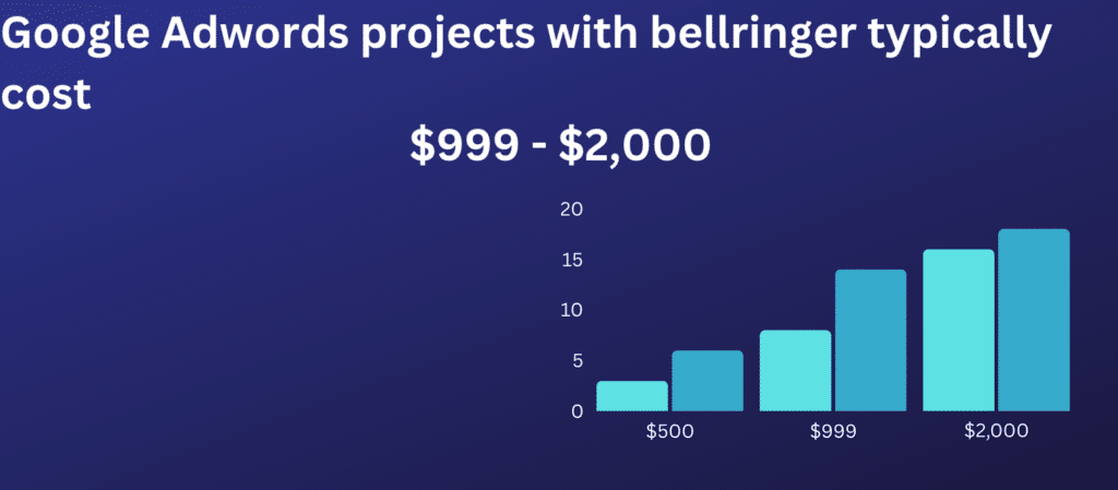 ppc management costs